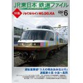 JR東日本鉄道ファイル　Vol.6 特集:ジョイフルトレイン NO.DO.KA 【DVD】