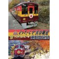 わたらせ渓谷鐵道トロッコわっしー号運転席展望 【DVD】