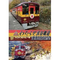 わたらせ渓谷鐵道トロッコわっしー号運転席展望 【DVD】