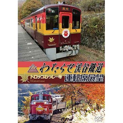 画像1: わたらせ渓谷鐵道トロッコわっしー号運転席展望 【DVD】