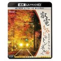 叡電 もみじのトンネルへ【4K HDR】 展望列車きらら【 UBD】