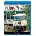 185系 特急踊り子108号　伊豆急下田~東京 【BD】 