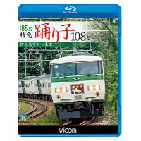 185系 特急踊り子108号　伊豆急下田~東京 【BD】 