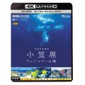 世界自然遺産 小笠原 ~ボニンブルーの海~【UBD】 