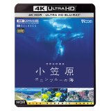 世界自然遺産 小笠原 ~ボニンブルーの海~【UBD】 