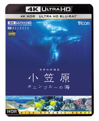 世界自然遺産 小笠原 ~ボニンブルーの海~【UBD】 