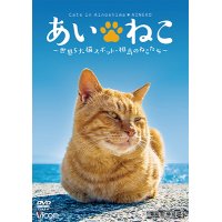 あいねこ　世界5大猫スポット・相島のねこたち【DVD】 