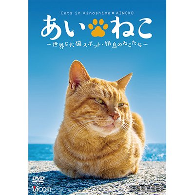 画像1: あいねこ　世界5大猫スポット・相島のねこたち【DVD】 