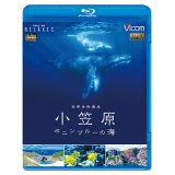 世界自然遺産 小笠原 ~ボニンブルーの海~【BD】 