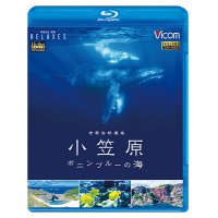 世界自然遺産 小笠原 ~ボニンブルーの海~【BD】 