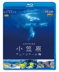 世界自然遺産 小笠原 ~ボニンブルーの海~【BD】 