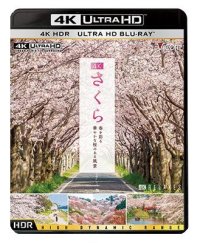 4K さくら HDR　春を彩る 華やかな桜のある風景【UBD】