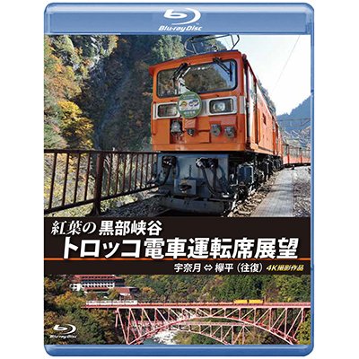 画像1: 紅葉の黒部峡谷トロッコ電車運転席展望　宇奈月⇔欅平（往復）4K撮影作品【BD】