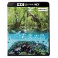 奄美大島【4K・HDR】~いのち紡ぐ島~【UBD】