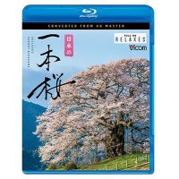 日本の一本桜  4K撮影作品【BD】