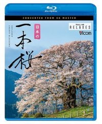 日本の一本桜  4K撮影作品【BD】