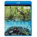 奄美大島 4K撮影作品　~いのち紡ぐ島~【BD】