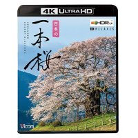 日本の一本桜 【4K・HDR】【UBD】 