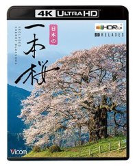 日本の一本桜 【4K・HDR】【UBD】 
