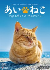 画像: あいねこ　世界5大猫スポット・相島のねこたち【DVD】 