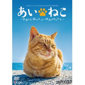 画像: あいねこ　世界5大猫スポット・相島のねこたち【DVD】 