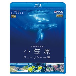 画像: 世界自然遺産 小笠原 ~ボニンブルーの海~【BD】 