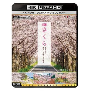 画像: 4K さくら HDR　春を彩る 華やかな桜のある風景【UBD】