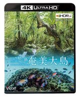 画像: 奄美大島【4K・HDR】~いのち紡ぐ島~【UBD】