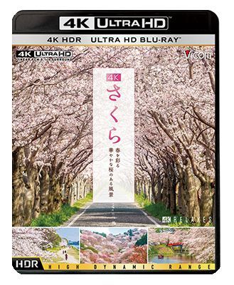 画像1: 4K さくら HDR　春を彩る 華やかな桜のある風景【UBD】 (1)